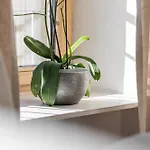 Rennweg 114 Appartement