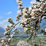 Lägenhet Rennweg 114 Merano