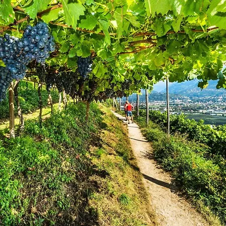 Rennweg 114 アパート *