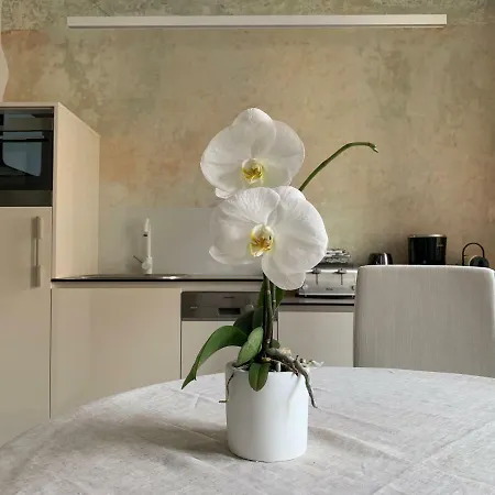 Apartmán Rennweg 114 *