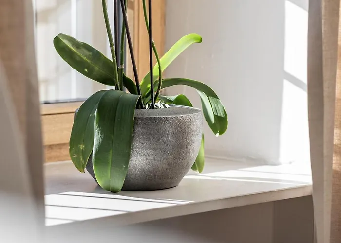 Rennweg 114 Διαμέρισμα