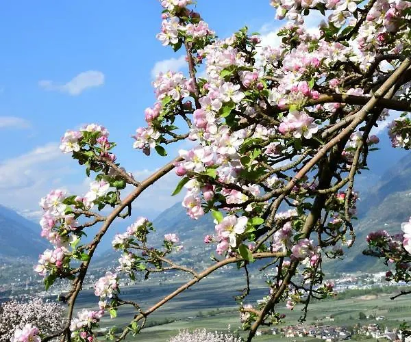 Appartement Rennweg 114 Merano